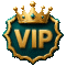 /custom/footerMenu/vip.gif